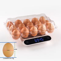 Boîte à œufs en PET pour 15 œufs, transparente, type clamshell, barquette alimentaire jetable, vente en gros, personnalisable