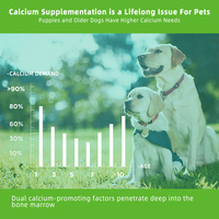 Gel nutritif pour les hanches et les articulations pour chiens et chats en gros Soutient la mobilité et restaure la santé des articulations Soulage la douleur