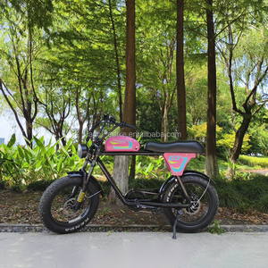 20 pollici 48v 500w 750w strada vecchio stile pneumatico grasso bicicletta elettrica - Product Image 3