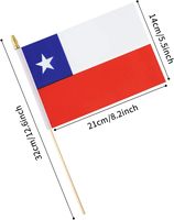 Drapeau double face en bois miniature personnalisé pour la vente en gros, idéal pour les défilés sportifs, les fêtes et les décorations de festivals