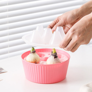 P372 Pot <span class=keywords><strong>de</strong></span> fleurs hydroponique moderne et simple à cinq trous en plastique pour bulbes <span class=keywords><strong>de</strong></span> tulipes, idéal pour les personnes paresseuses, spécial pour les graines <span class=keywords><strong>de</strong></span> jacinthe et <span class=keywords><strong>de</strong></span> narcisse - Product Image 5