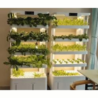 Système hydroponique vertical intelligent Seedafarm pour usage domestique avec culture sans sol à plusieurs niveaux pour légumes et semis