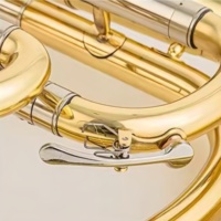 Alto Horn Eb Key 3 Upright Pistons Gold Lacquer Finish Brass Instruments with Stainless Steel Pistons for Beginners and Band