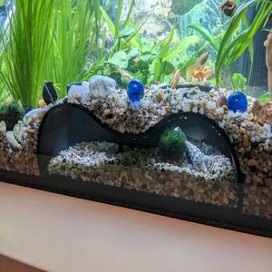 Mini Aquário com Teto Transparente para <span class=keywords><strong>Betta</strong></span>, Guppies e Peixes Dourados |   Economizador de Espaço e Fácil de Limpar (Sem Eletricidade) |   Compatível Pequeno - Product Image 2