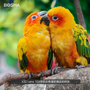 Bosma Mobile Phone Telephoto Lens 32X Magnification Aluminum Body Image Stabilization For Birdwatching And Nature Observation - Product Image 3