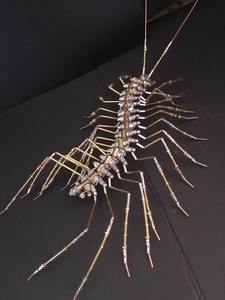 Modèle d'insecte mécanique punk, mantisse scorpion assemblée, modèle tridimensionnel, jouet créatif fait à la main, cadeau DIY - Product Image 1