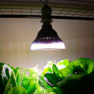 Linh hoạt <span class=keywords><strong>4m</strong></span> cáp quang phổ đầy đủ 50 wát LED phát triển ánh sáng bóng đèn cho tùy chỉnh nhà máy sắp xếp & trong nhà vườn - Product Image 6