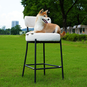 Tabouret de bar en métal avec dossier, fournisseur chinois, pour hôtel, restaurant, cuisine, hauteur de comptoir - Product Image 1