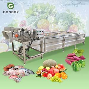 Machine de lavage et de nettoyage commerciale pour légumes, fruits (laitue verte, avocat, poivron bulle, mangue) et piments - Product Image 1