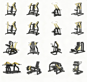 Machine à charge libre Hammer Series en gros, modèles simple et complet disponibles, équipement d'entraînement musculaire isolé pour la salle de sport et la remise en forme à domicile - Product Image 1