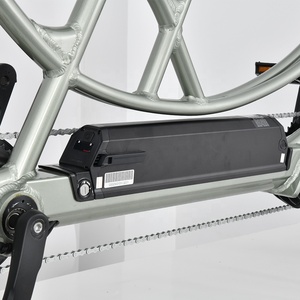 Nouveau vélo électrique tendance avec dérailleur <span class=keywords><strong>Nexus</strong></span> <span class=keywords><strong>7</strong></span> vitesses, cadre en aluminium, moteur 500W, batterie lithium intégrée 15Ah, vélo électrique de transport - Product Image 2