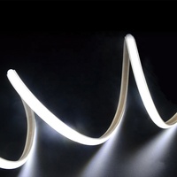 Bande lumineuse LED COB de personnalisation de haute qualité IP65 étanche Ultra luminosité 8 W/M 50000 heures de durée de vie Flexible extérieur