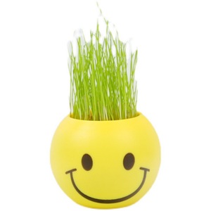 Mini Bonsái con Emojis, Planta en Maceta, Decoración Verde para Interiores, 4 Piezas, Plástico Redondo, Regalo para Sala de Estar, Cumpleaños - Product Image 5