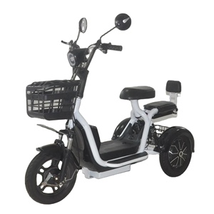 <strong>Compact</strong> &amp; Lightweight 2-Seater Electric <strong>Tricycle</strong>, Easy Maneuver for Two Adults - Product Image 1