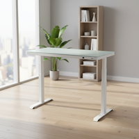 Bureau à hauteur réglable à double moteur, table d'étude moderne, table d'ordinateur électrique extensible, cadre de bureau assis-debout personnalisable