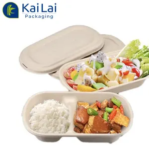 Disposable packaging bagasse pulp takeaway food container 2 compartment bagasse oval bowls