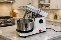 ZBX HM-10TD 10L 4KG Borstelloze Motor 750W 304SS Kantelbare Kop Verwijderbare Kom Brood Pizza Amasadora Deegkneedmachine voor Thuisgebruik