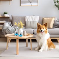 Kit diffuseur de phéromones calmantes pour chien, inodore, à brancher, avec recharge, aide à réduire les projections d'urine, les griffades et les combats.