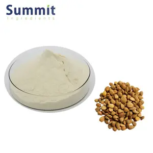 High Quality 60% Almond Protein Powder Bitter Almond Powder Protein