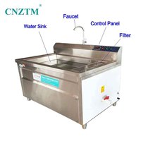 Petite machine à laver à l'ozone pour la cuisine domestique Machine à laver les légumes et les fruits Machine à stériliser les bulles pour les restaurants à usage commercial