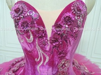 Tutu de danse ballerine en velours rose personnalisé inspiré de la belle au bois dormant foire aux fleurs de fée de prune de sucre pour les filles