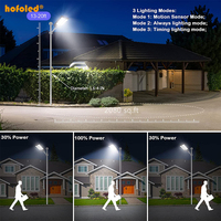 HOFOLED Lampadaire Solaire Extérieur en Aluminium Étanche avec Télécommande pour Jardin, 2000W, 600W, 800W, 1000W