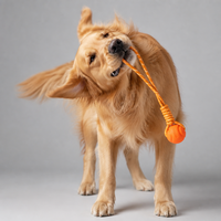 Jouet pour chien en corde avec corde réfléchissante, jouet de chasse et de traction en TPR résistant aux morsures, 3 tailles S M L pour chiens