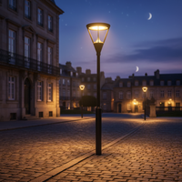 Luminaire Urbain IP66 Ambar, Style Moderne Attrayant, Diffuseur PC Professionnel, Éclairage LED pour Rue et Route