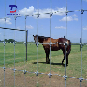 Bétail galvanisé Cerf Chèvre Nœud fixe Clôture pour bétail Grillage d'acier pour mouton Charnière commune Clôture de ferme pour cheval - Product Image 5