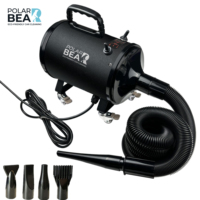 Séchoir Électrique Professionnel pour Voiture PB-VC-C6-S 3200W 37-70°C Séchage Sans Contact Souffleur d'Air Chaud/Froid Tuyau de 5m Détaillage Automobile ODM