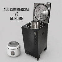 Cuiseur à riz commercial à faible teneur en glucides 40L, machine de cuisson saine en acier inoxydable 304, cuiseur breveté pour éliminer le sucre, équipement professionnel de restauration saine