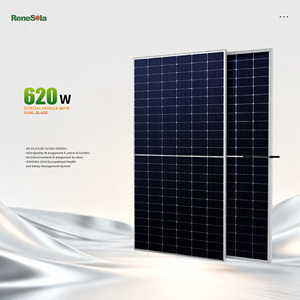Panneaux solaires <span class=keywords><strong>René</strong></span> à charge mécanique améliorée 620W type N IP66 double vitrage - Product Image 1