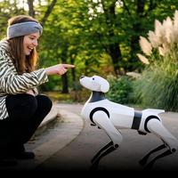 Robot quadrupède intelligent, robot compagnon IA pour la sécurité et la patrouille à domicile, Argos