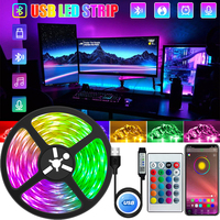 Tira de Luces LED Inteligente Dailu, 5M 10M RGB 5V, Impermeable, Retroiluminación LED para TV, 5050 USB, Luz Decorativa con Cambio de Color y Música