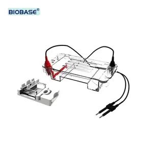 Serbatoio per elettroforesi orizzontale BIOBASE per rilevamento e separazione del DNA