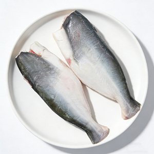 Pangasius Basa IQF HGT Congelé, Lot de 10kg, Origine Vietnam, Haute Qualité, Vente Directe Usine - Product Image 1