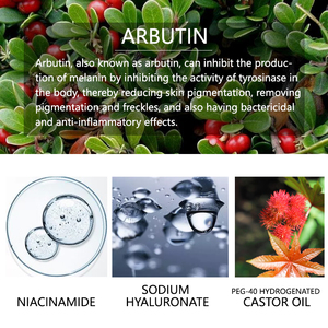 <span class=keywords><strong>Alfa</strong></span> <span class=keywords><strong>Arbutina</strong></span> 2% + ácido hialurónico suero para blanquear la piel esencia facial - Product Image 5