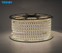 220V haute tension Double rangée Double température de couleur lumière Flexible bandes Led plafond haut coin décoration murale