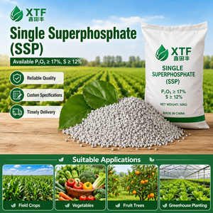 <span class=keywords><strong>Ca</strong></span>(<span class=keywords><strong>H2PO4</strong></span>)<span class=keywords><strong>2H2O</strong></span> CAS 10031-30-8 Superphosphate simple (SSP) en poudre et granulaire hautement efficace pour les cultures céréalières - Product Image 1