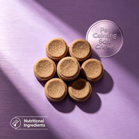 OEM ODM Marque Privée Friandises Apaisantes pour Chiens et Chats avec L-Théanine pour Soulager le Stress - Absorption Rapide & Complément Alimentaire Sûr pour Animaux