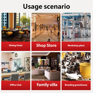 Chimeneas de <span class=keywords><strong>Pellets</strong></span> de Acero para Biomasa con Fuego Real, de Última Generación, Independientes, para Uso en Villas y Hoteles, Ecológicas, para Radiador y Suelo - Product Image 5