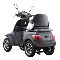 VISTA QUATER-1 EEC COC 1000W BATTERIE AU PLOMB POUR SCOOTER ÉLECTRIQUE 4 ROUES