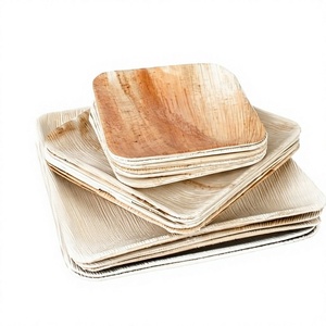 Nuevos Platos Cuadrados de Hoja de Palma de 7 Pulgadas, Vajilla Desechable Moderna para Fiestas, Restaurantes, Cafeterías y Servicios de Catering - Product Image 1