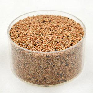 Nourriture pour oiseaux au millet mélangé cinq couleurs, 500g, pour petits et moyens perroquets, perruches, calopsittes, oiseaux pivoines - Product Image 3