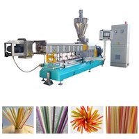 Machine extrudeuse automatique pour la fabrication de pailles à boire comestibles biodégradables en riz, ligne de production de pailles en riz, directement de l'usine