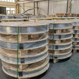 Bande de fil d'agrafes galvanisées pour 14 broches d'agrafes 500kg par rouleau - Product Image 1