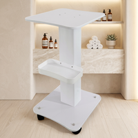 Chariot de rangement métallique au design moderne avec étagère et roulettes pour équipement de salon, idéal pour cliniques de thérapie et hôpitaux