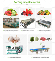 Machine industrielle de calibrage des fruits et légumes avec tri optique pour l'ail, l'oignon, la pomme de terre, le curcuma - Capacité 100-2000 KG/H 220V