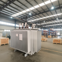 Transformador de Distribución Trifásico de 50Hz, 100kVA, 11kV/433V, Sumergido en Aceite, Montado en Poste, Modelo S13-M HUAMEI
