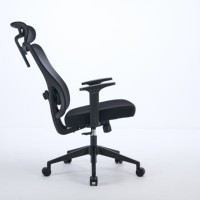 Chaise de bureau ergonomique à dossier haut, chaise de direction, accoudoirs réglables, appui-tête, fabriquée en PP durable, moderne, soutien lombaire 2D, grande taille, maille